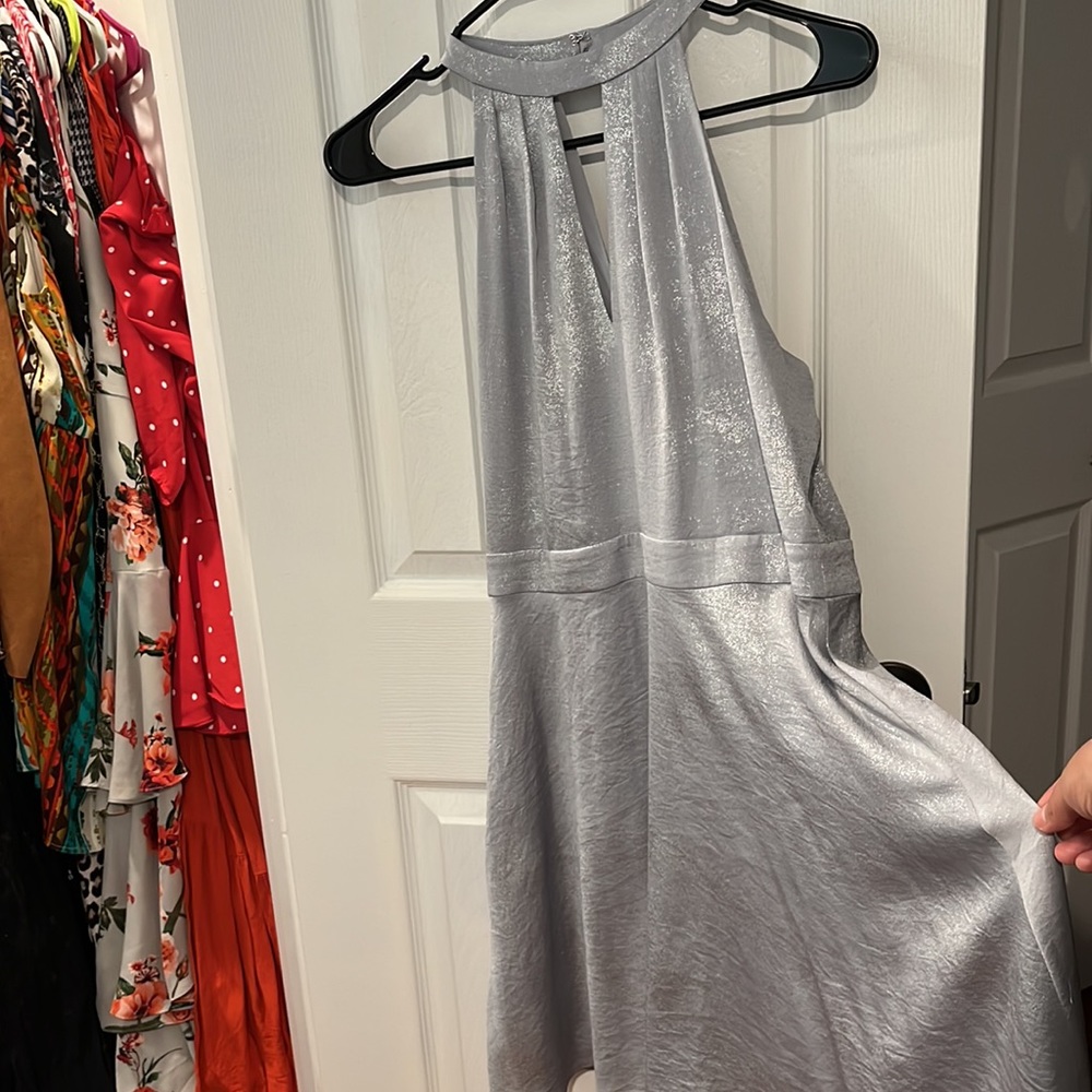 Express Silver Mini Dress